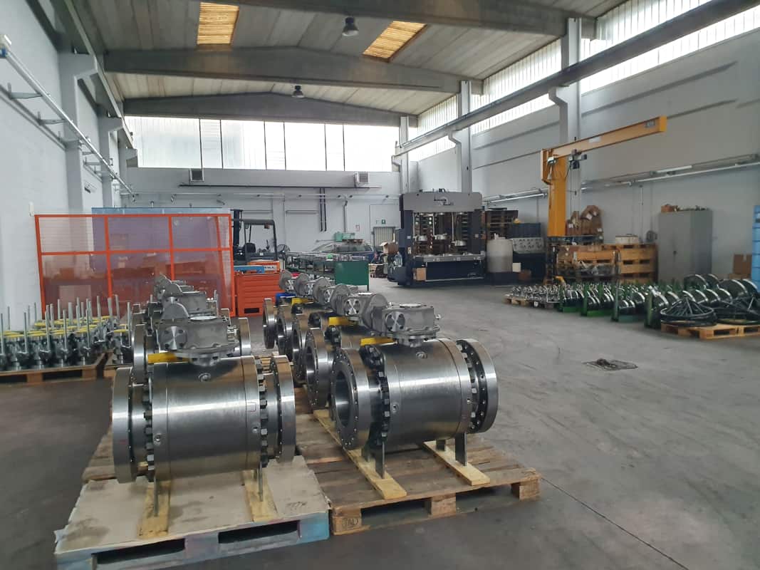 Valve Trunnion 1