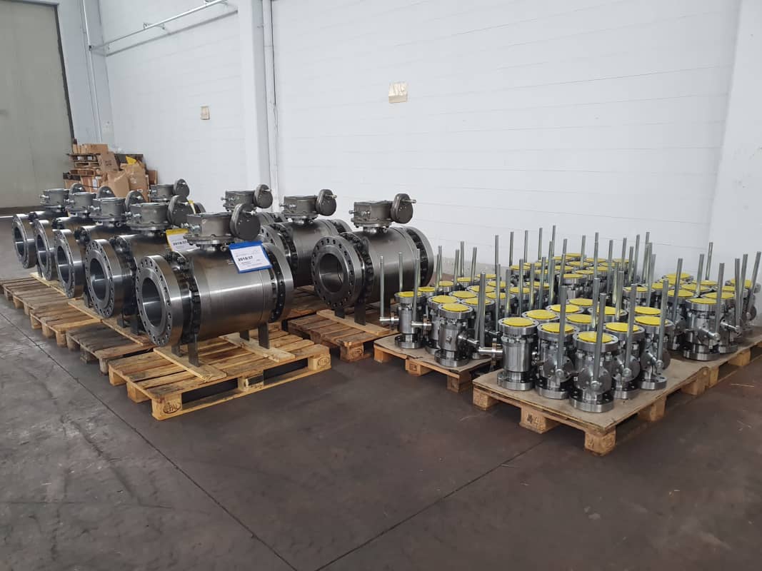 Valve Trunnion 2