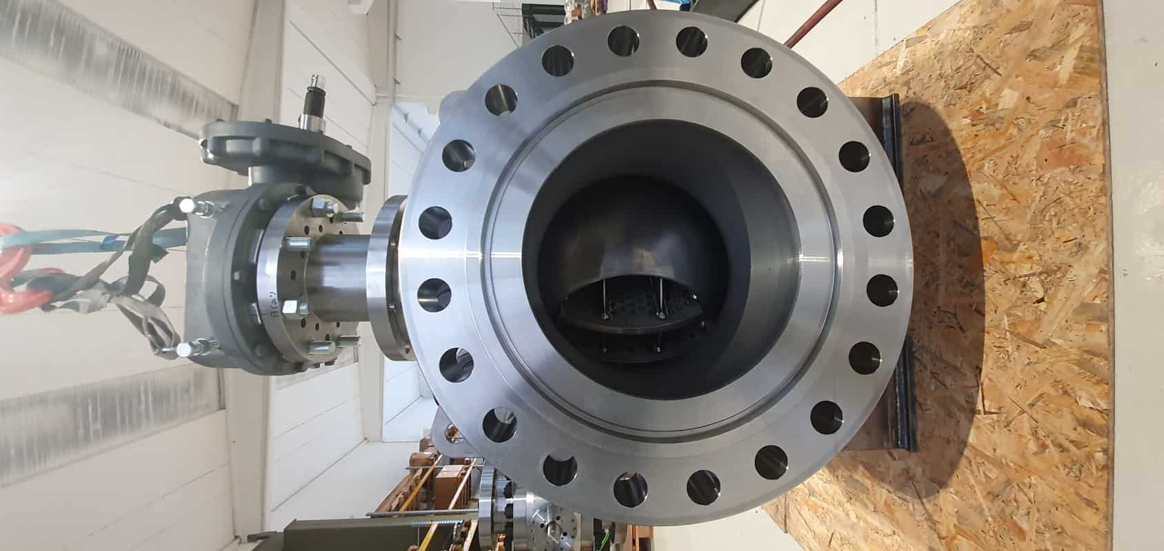 Valve Trunnion 6